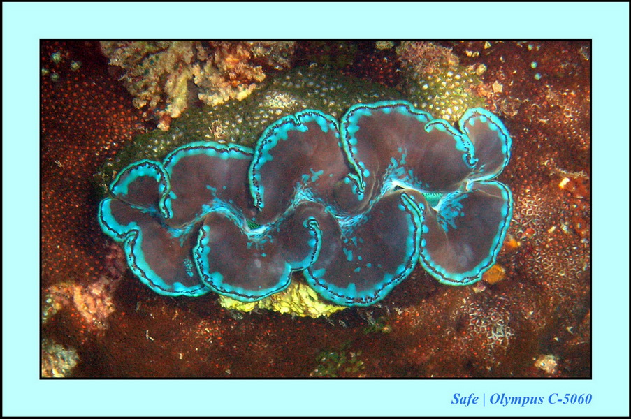 2005 - 08 - Redang  - 047.JPG